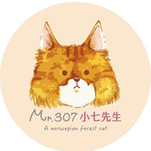 Mr.307